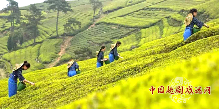 封面.png